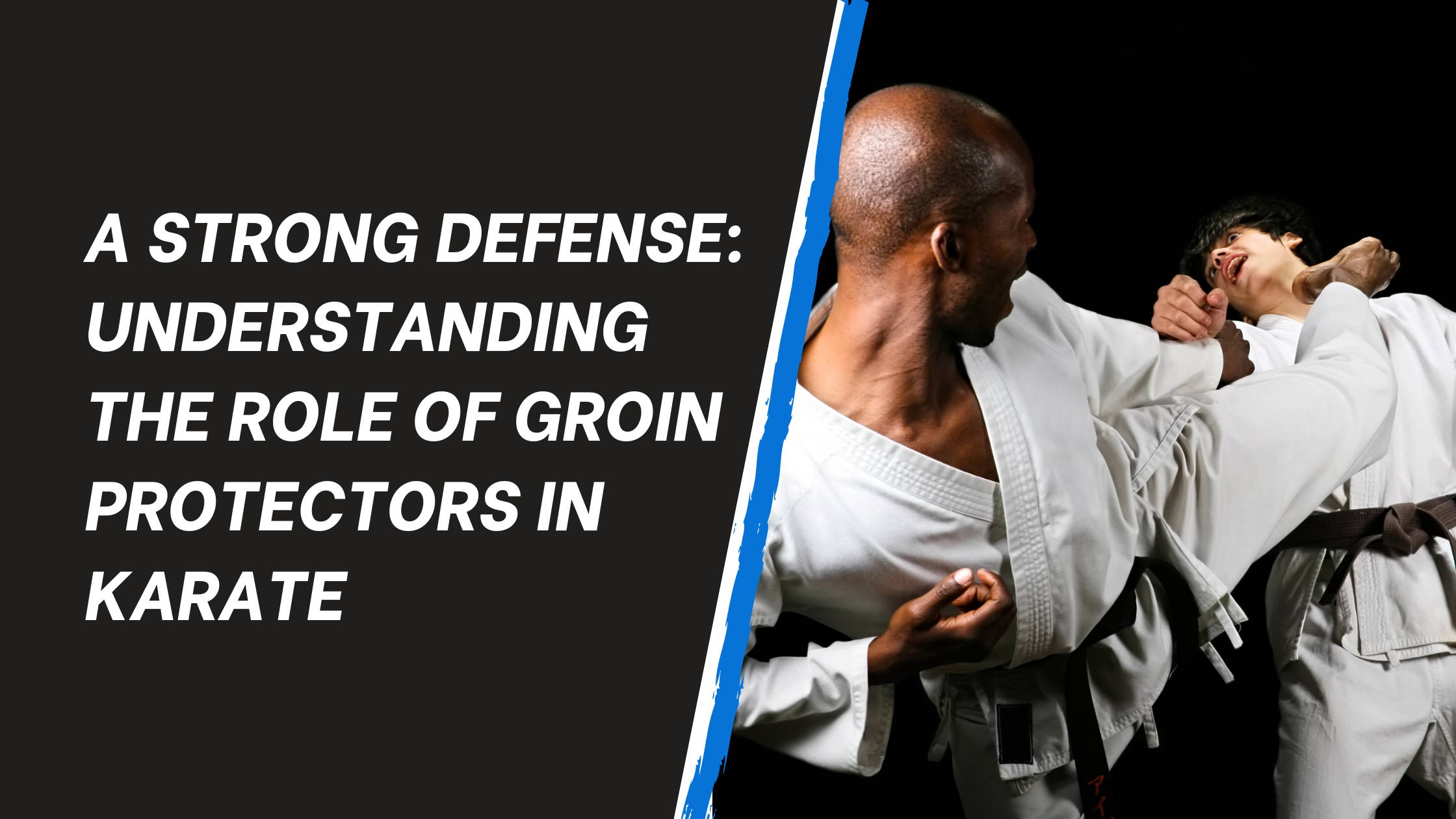 Karate Groin Protection