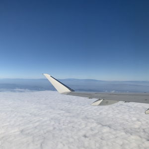 Round Trip Plane Tickets for Our Honeymoon