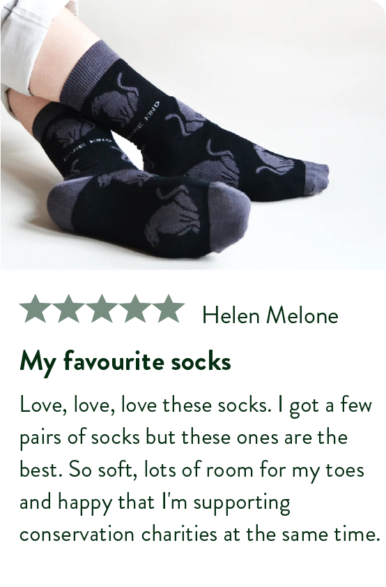 "My favourite socks"