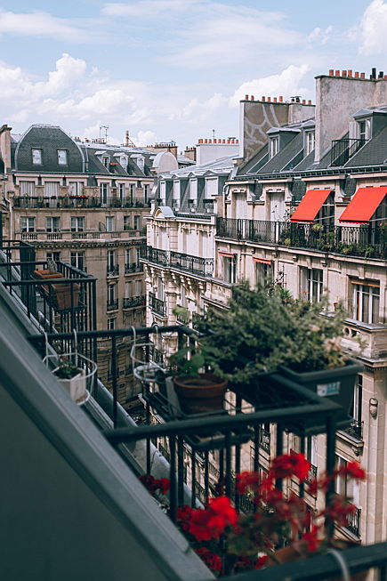  Paris
- appartement parisien