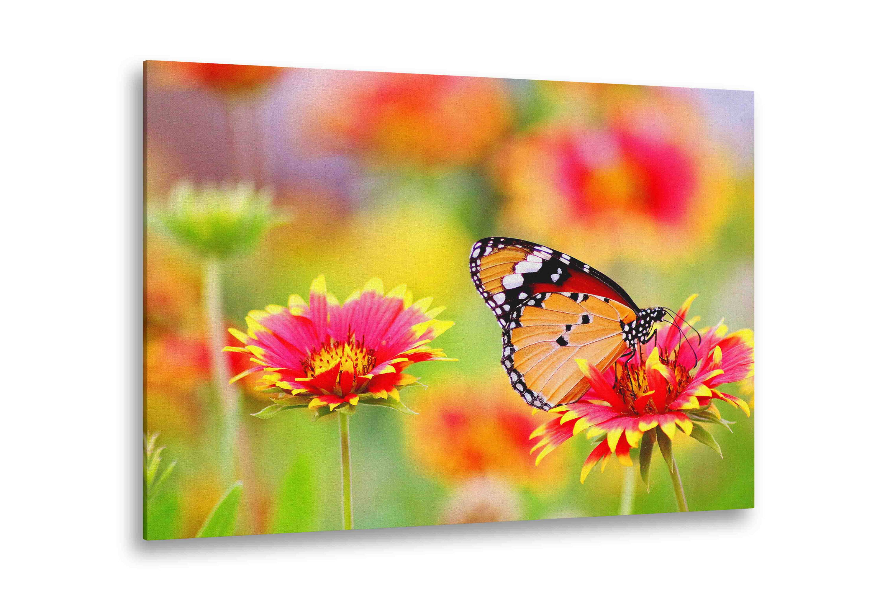 Nature Prints On Canvas