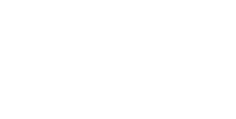 Fatima Velasquez Logo