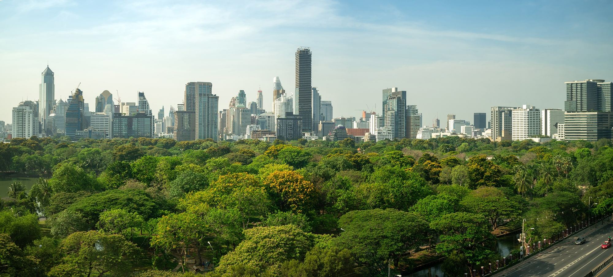 A panoramic view of a city skyline with tall modern buildings behind a large green park filled with trees under a clear blue sky.