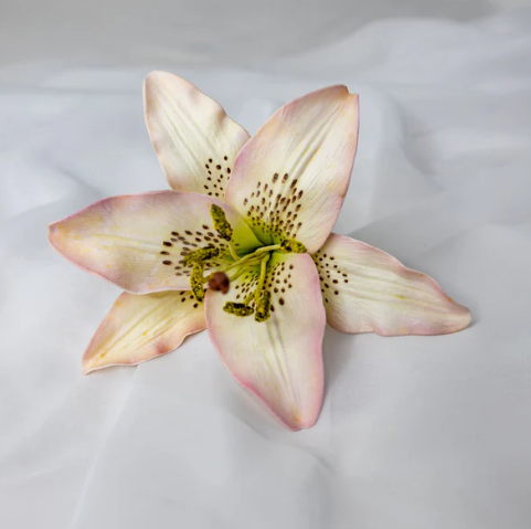 Light Pink Asiatic Lily Flowerhead - Realistic Artificial Flowers