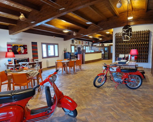 Food & Wine Tours Mamoiada: Nuoro: winery tour with wine and product tasting