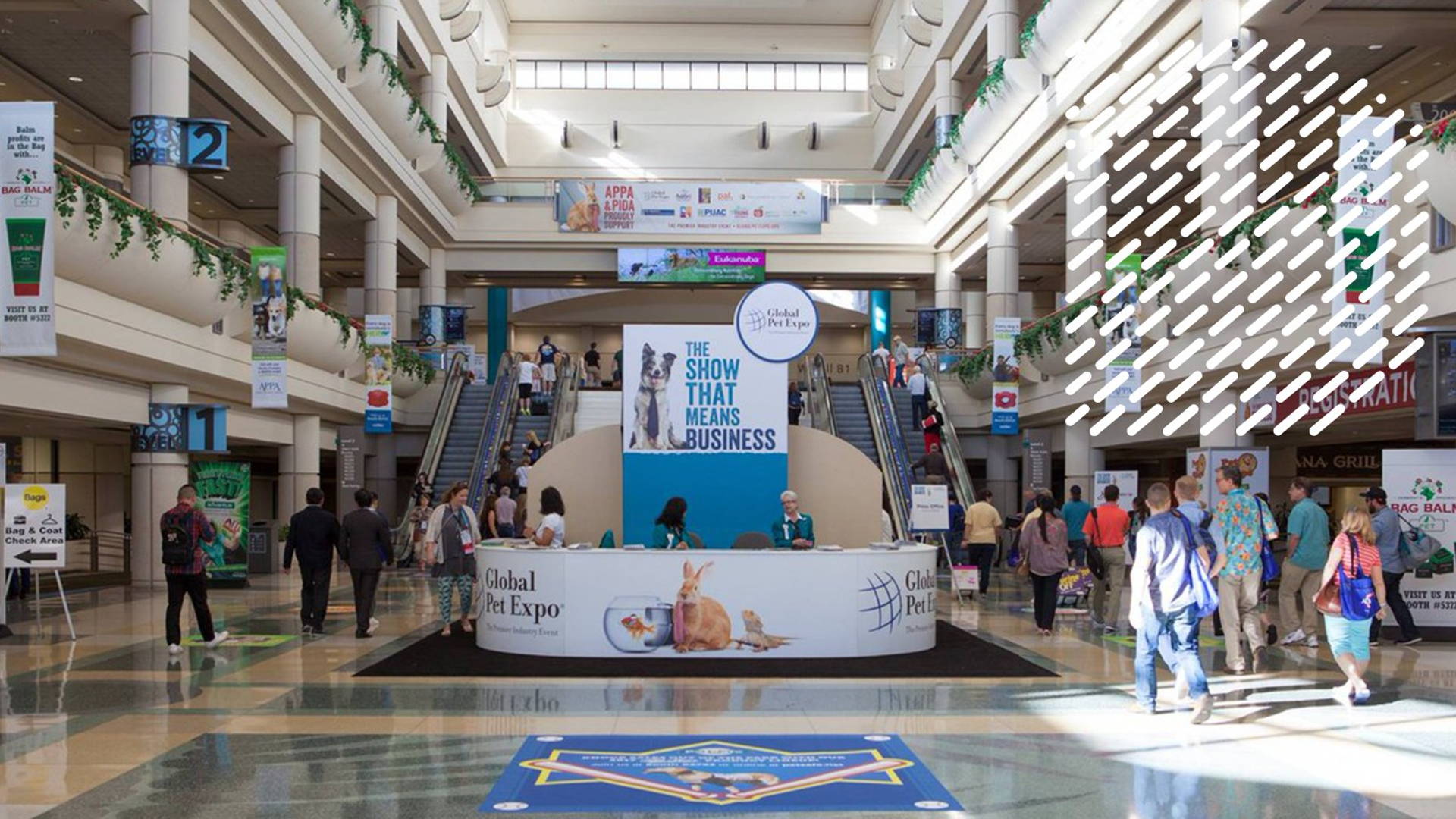 Featured image for The 8 Best Brands We Saw At The Global Pet Expo