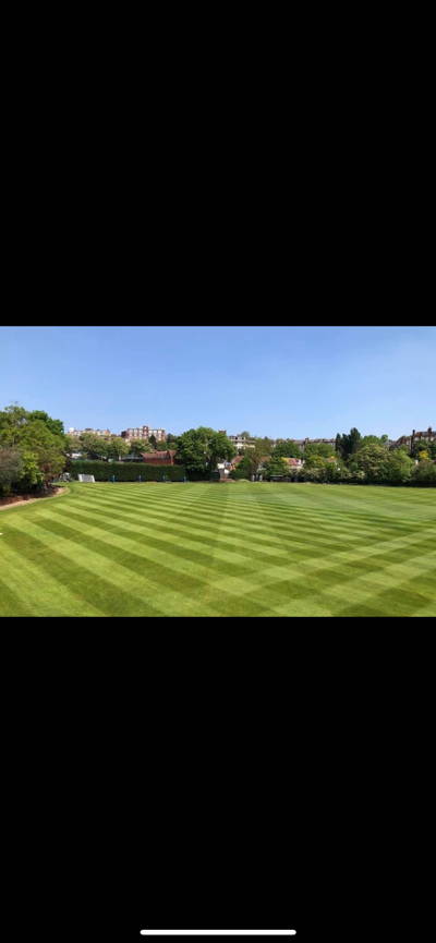 Hampstead Cricket Club Cricket Club Logo