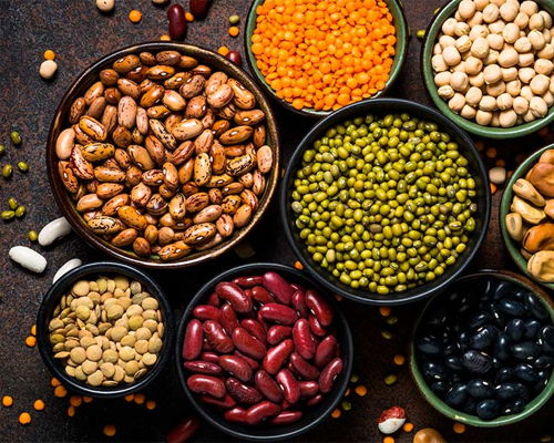 Esperienze gastronomiche Bologna: Legumi che passione!