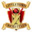 Littletown Cricket CLub logo