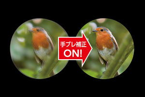 大きなブレにも対応