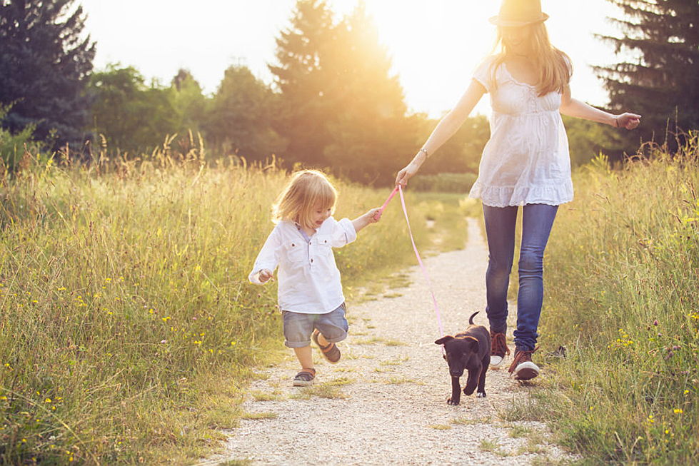 Музыка девочка гуляет. Мальчик и девочка гуляют картинки. Мальчик гуляет с мамой в парке. Маленький мальчик гуляет. Гуляем с дочкой маленькой и собачкой.