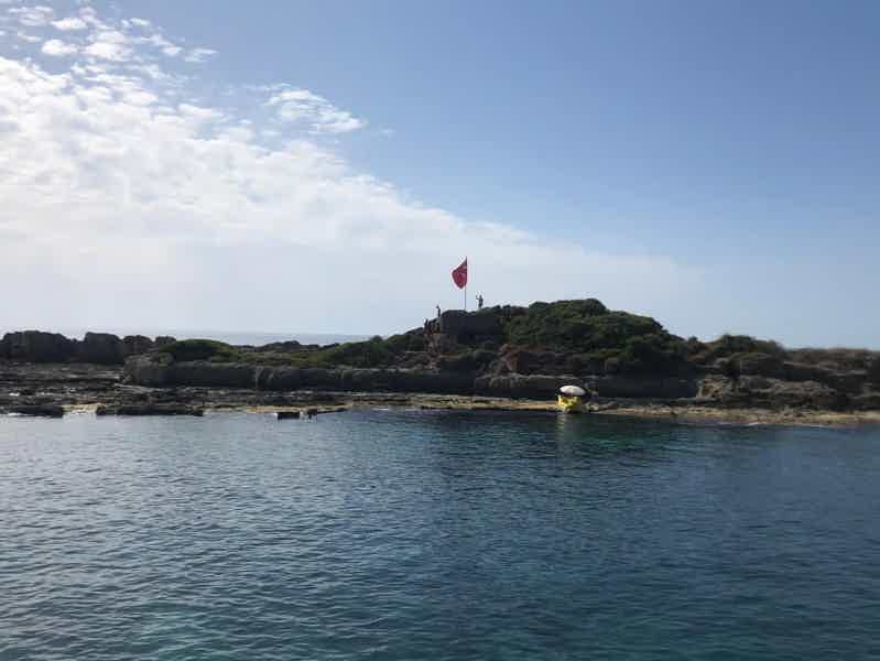 Side: Dolphin Island Boat Trip with Lunch and Swim Stops - photo 6