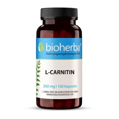 L - Carnitin 350 Mg 100 Kapseln