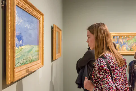 Van Gogh Museum & Canal Cruise Combo