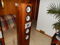 Tyler Acoustics Super Towers  With  external crossovers... 4