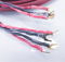 Audioquest  Bedrock 40' Biwire Speaker Cables; 3