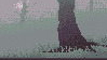 Main Content Image
