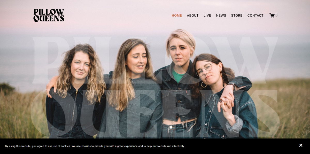 Screenshot of Pillow Queens, from the band websites collection.
