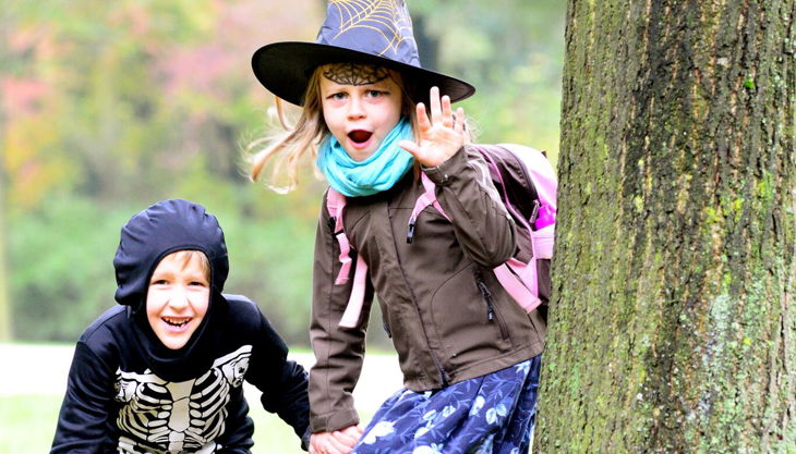 dresdner stadtindianer