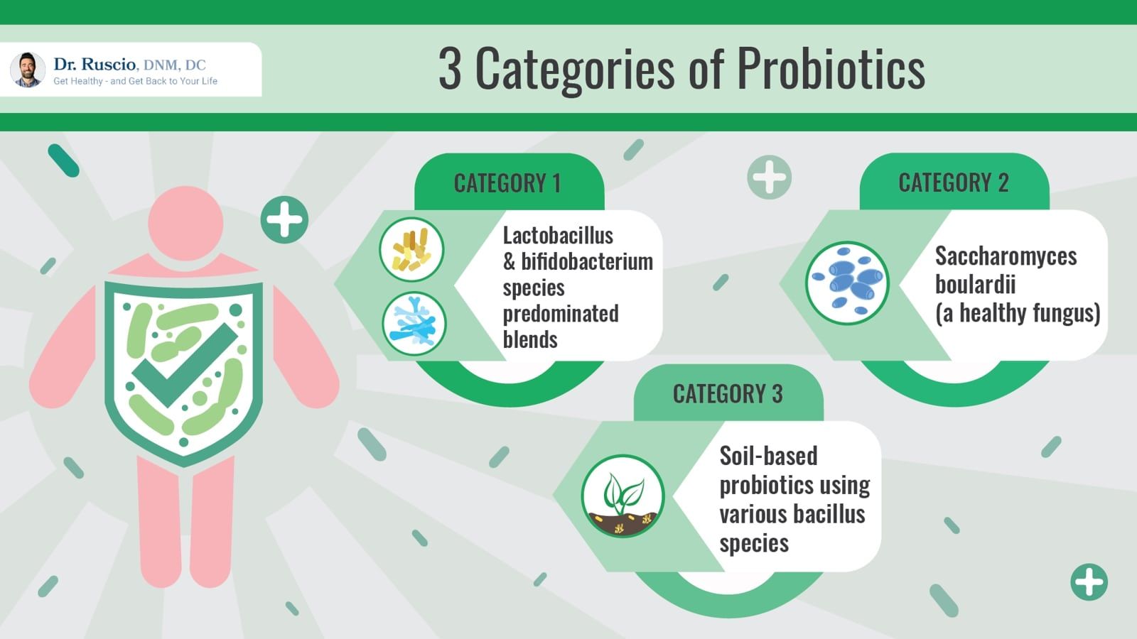 Your Guide on How to Use Probiotics for Leaky Gut -