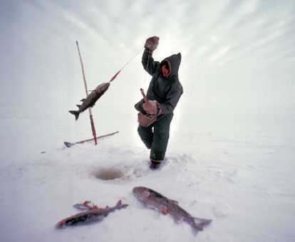 The Carnivore Diet for Gut Health & Autoimmunity -