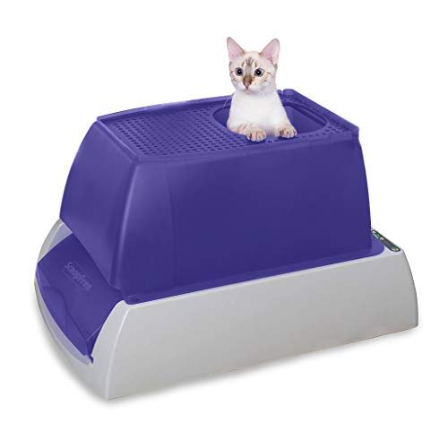 PetSafe ScoopFree Ultra SelfCleaning Litter Box (Top Entry) vs Arm