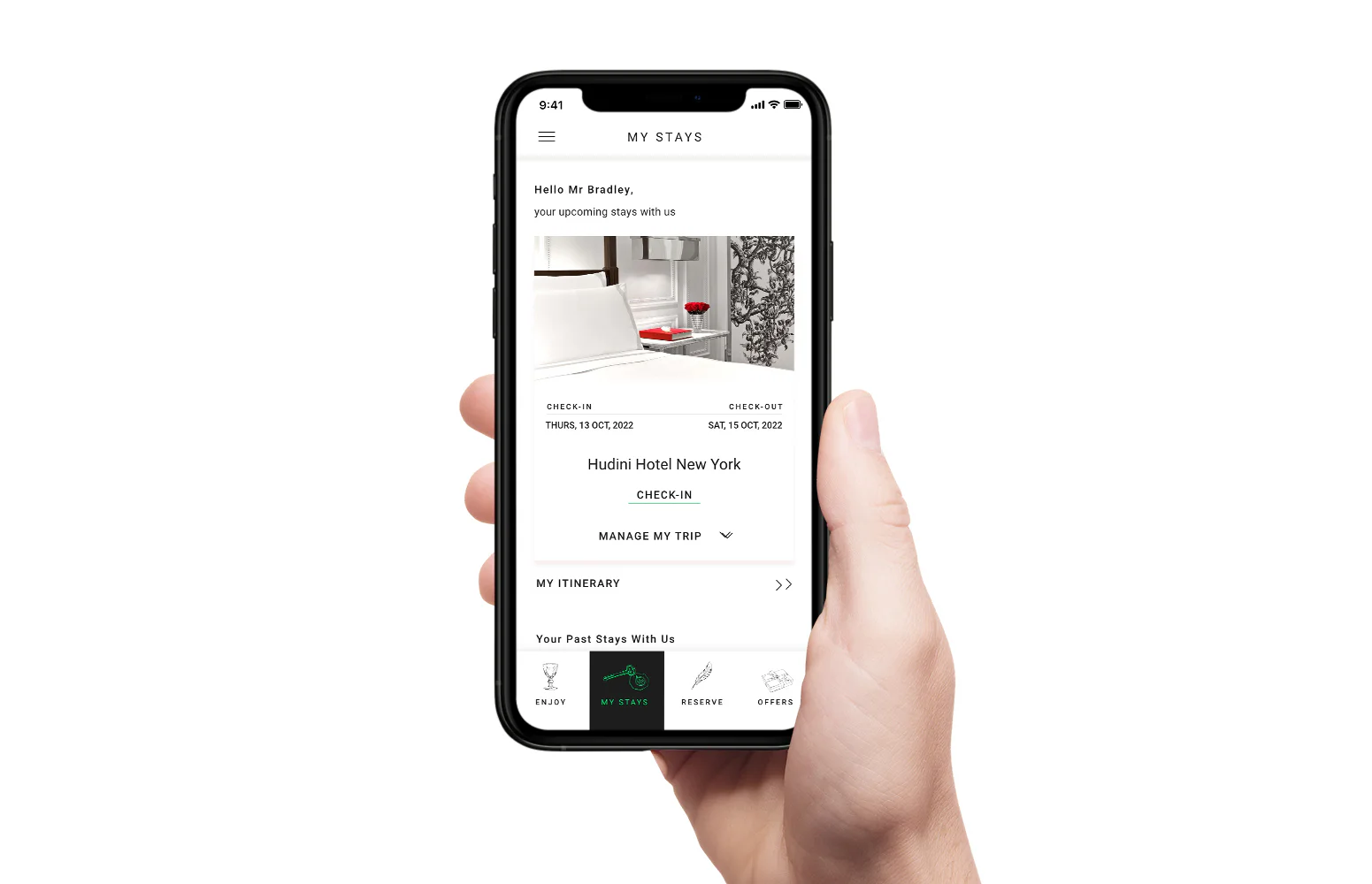 Screenshot image