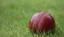 West Melbourne Cricket Club logo