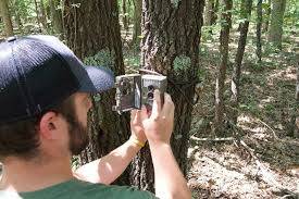 Hunting Camera