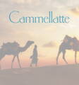 Camels in the Desert
