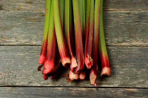 Rhubarb