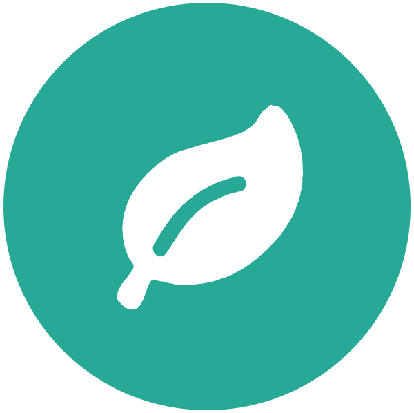 the brain signifying DHA found in the best fish oil supplements singapore