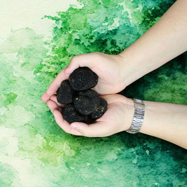 truffe-dautomne-le-diamant-de-la-cuisine