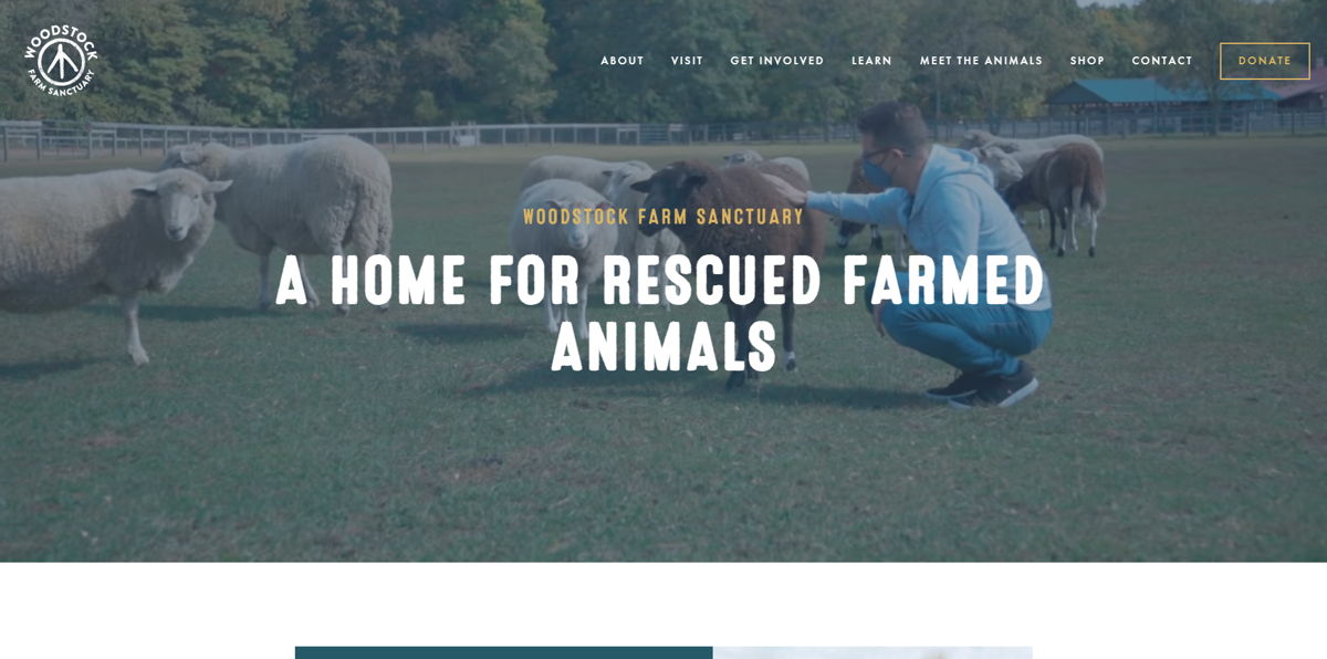 Screenshot of Woodstock Farm Sanctuary, from the farm websites collection.