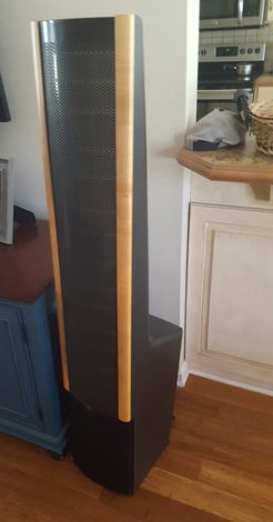 Martin Logan Aeon i and Motif center.