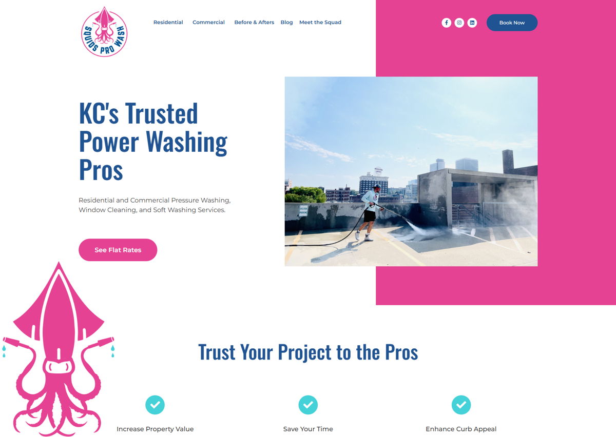 Screenshot of Squids Pro Wash, from the pressure washing websites collection.