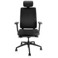 ergonomic chair with adjustable headrest