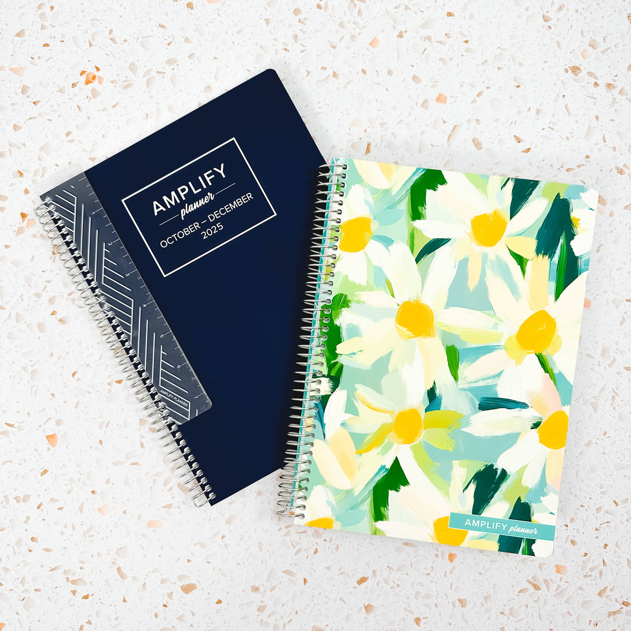 amplify planner blue daily planner