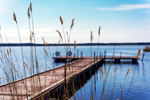 Дорога жизни: Всеволожск — Ладожское озеро на автомобиле с краеведом
