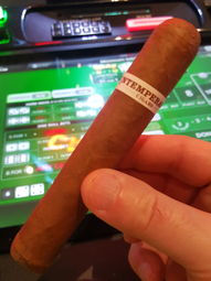 Cigar Session Photo