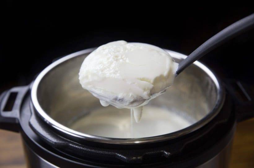goat milk yogurt