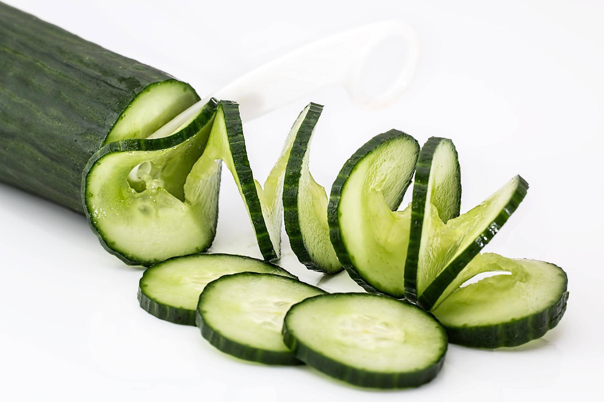 cucumber slices for dogs.jpg