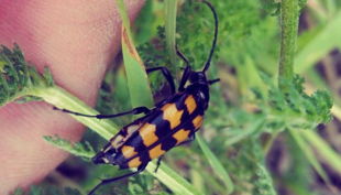 foto galerie bushcraft sauerland kindergeburtstag im wald