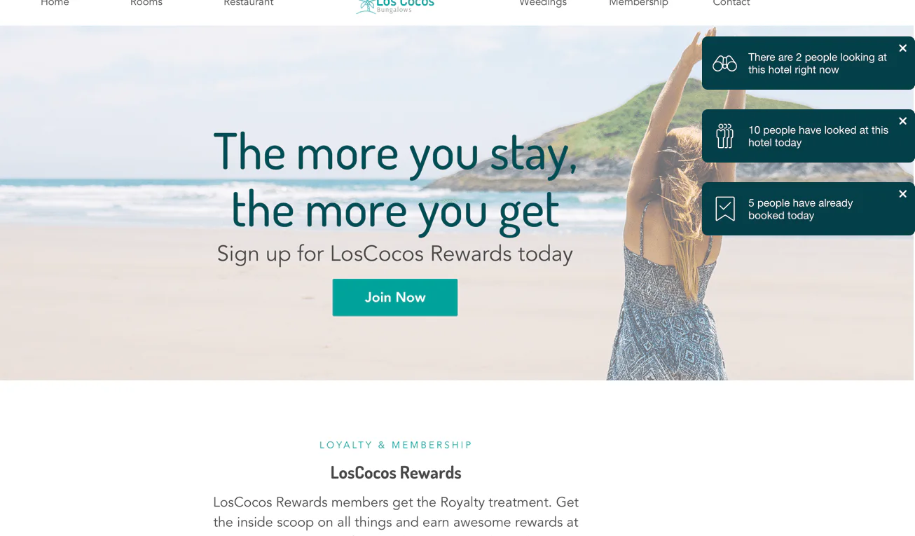 Screenshot image