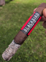 Nice ash