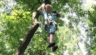 treetree seilbrücke