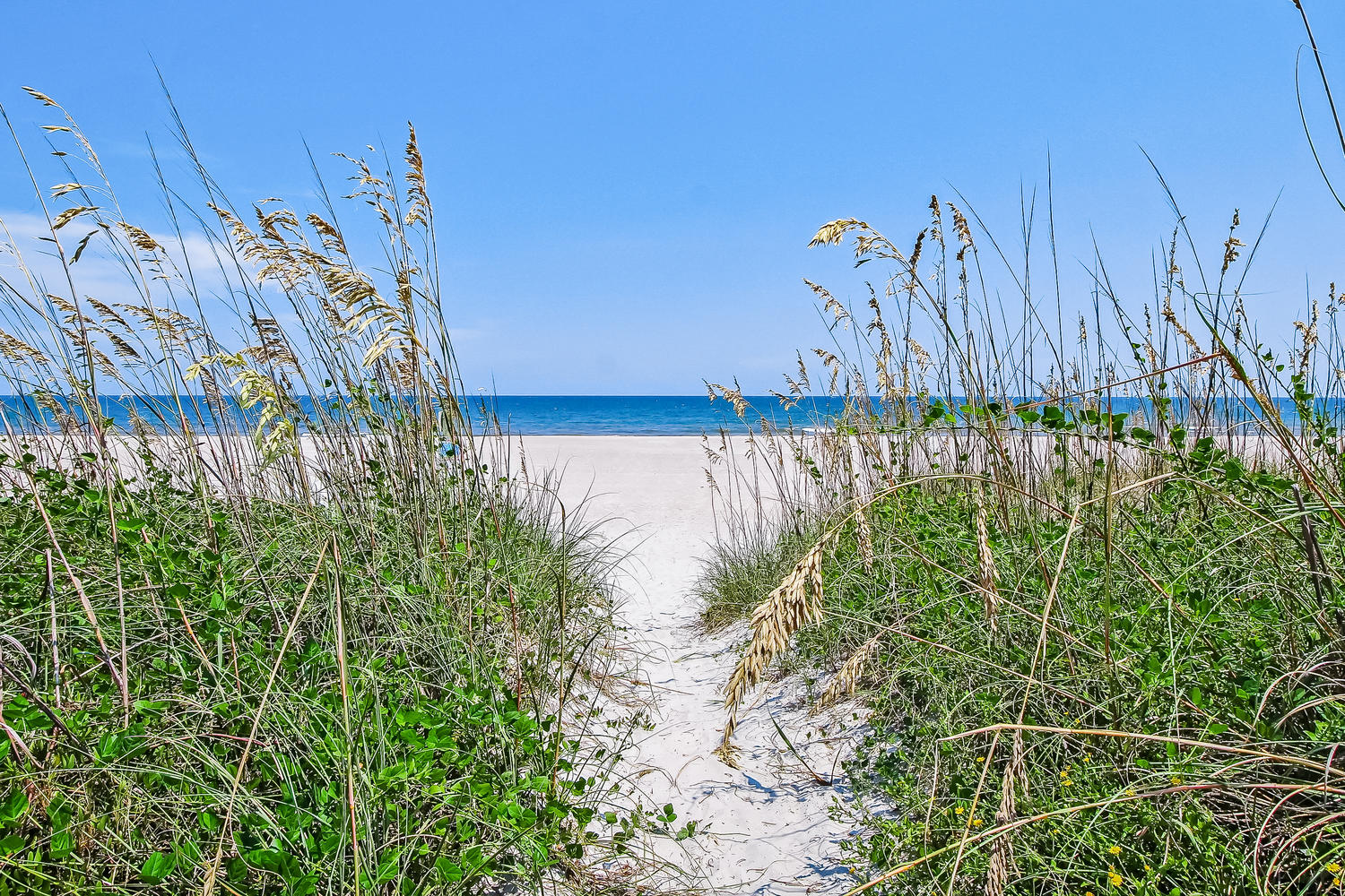 Seahorse Amelia Vacation Rentals