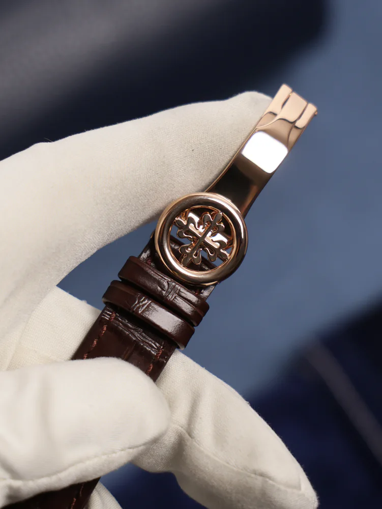 Patek Philippe World Time, image 5