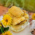 honey_comb_in_bowl honey_comb_in_bowl