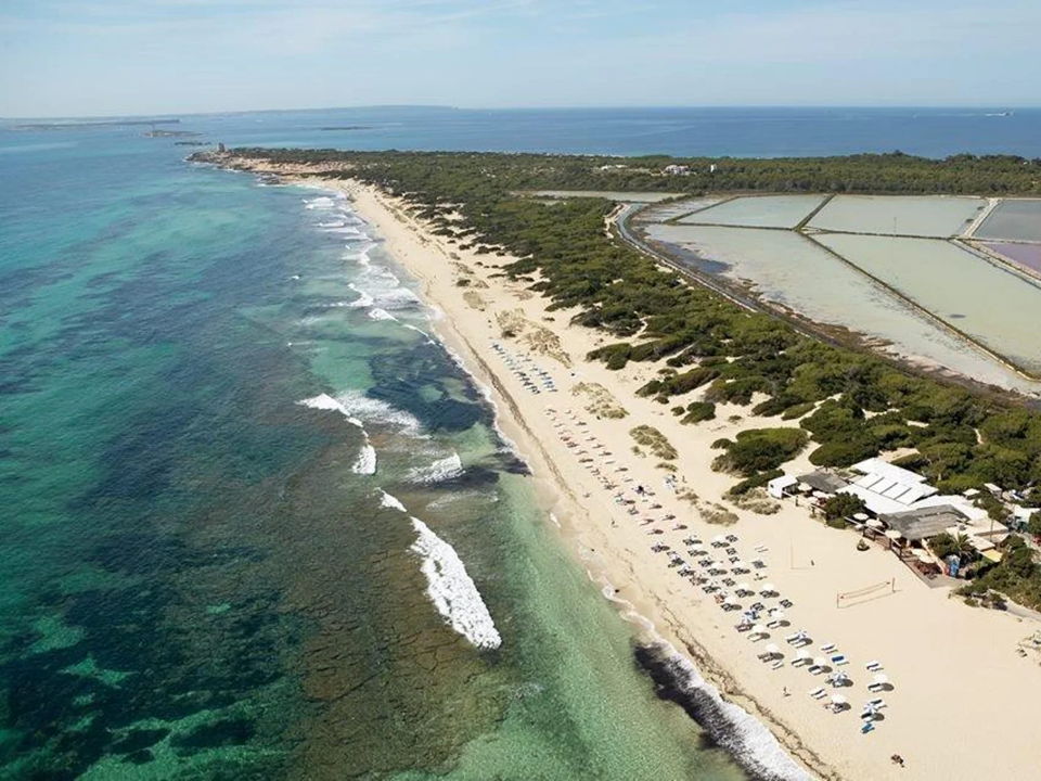 reserva excursion  bus ibiza